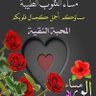 Profilbild von محمد محبوب