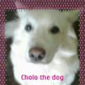 Profilbild von Jhen2 Chavez