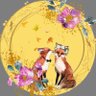 キン profil fotoğrafı