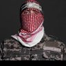 Anis Saad's profile picture