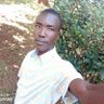 Nelson Ndaula David's profile picture