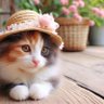 Фото профиля 🐱🐾🐈 ⱩаꞎⱬꞑҤаꞎⱬ 👒🎩🐥