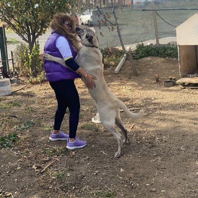 FatoReber's profile picture
