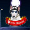 PerritoMalvado profil fotoğrafı