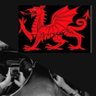 Фото профиля The Goginan 🏴🇵🇸