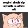 PiepiPiep's profile picture