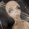 Фото профиля bebi alien 👽