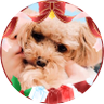 Profilbild von 優唯