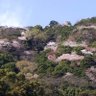端山 民部丞 profil fotoğrafı