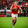 Deracaricus's profile picture