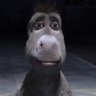 Lostguy's profile picture