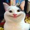 Фото профиля BadTexanKitty