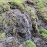 Фото профиля Ketan Pradhan