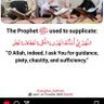 Фото профиля Hameedah🌺