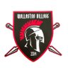 Фото профиля Wollaston Village FC