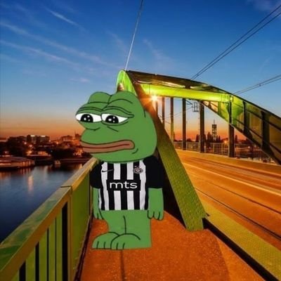 Maja 📸's profile picture