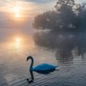 Фото профиля James Tate
