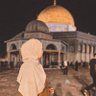 Profilbild von Palestine