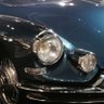 Фото профиля こがねむし