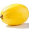 Squash6🇵🇸 的头像