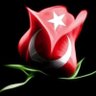 şahin 的头像
