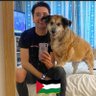 Declan Lyne's profile picture