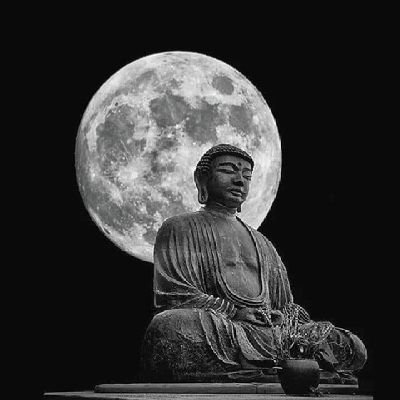 dalits_warrior's profile picture