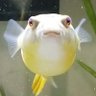 Dave D 的头像