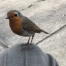 Davy's profile picture