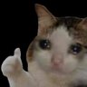 ꒷︶꒷꒥꒷\𝑺𝒉𝒆𝒆/꒷︶꒷꒥꒷'s profile picture