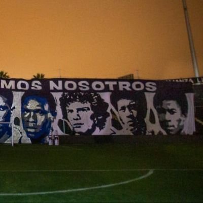 Alianzainómano 🇸🇻's profile picture