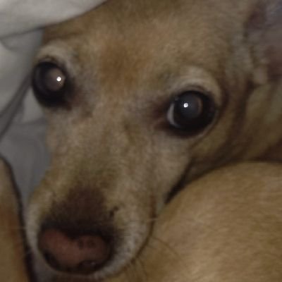 Nancy 73's profile picture