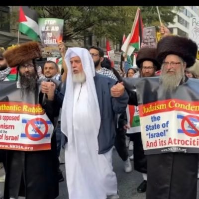 Jews Against Zionism's profile picture