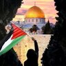 Profilbild von موسى أبو الخضر