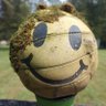 Profilbild von Chris Vander Doelen