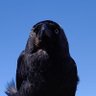 jockmeens profil fotoğrafı