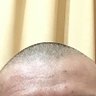 れんしゃ's profile picture