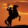 Cowboyw2b profil fotoğrafı