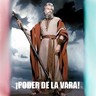 eljuezdelavara's profile picture