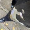 Profilbild von はせがわひろき。。。