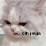 Profilbild von Fati