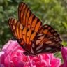 Фото профиля Eugenia C