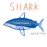 Profilbild von SHARK