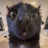 Tyy's profile picture