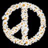 Profilbild von wmdpfg_miel