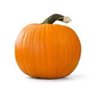 Profilbild von Pumpkin Talk