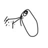 たけおっき's profile picture