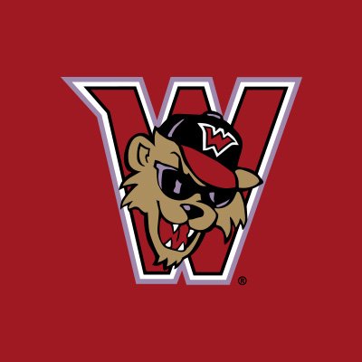 WashWildThings's profile picture