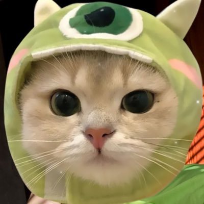 Natchyq's profile picture