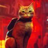 Фото профиля fexy